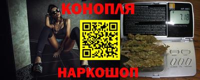 индика Тара