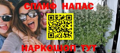 индика Тара